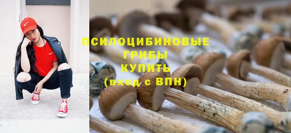трава Алзамай