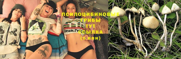 трава Алзамай
