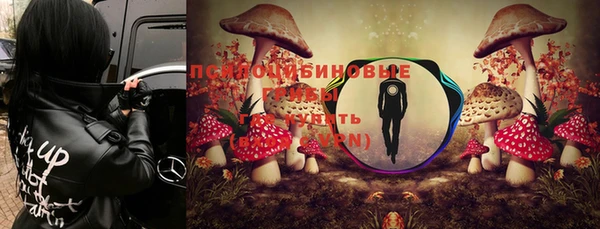 кокаин премиум Алексин