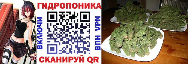 МАРИХУАНА OG Kush  дарк нет состав  Катав-Ивановск 